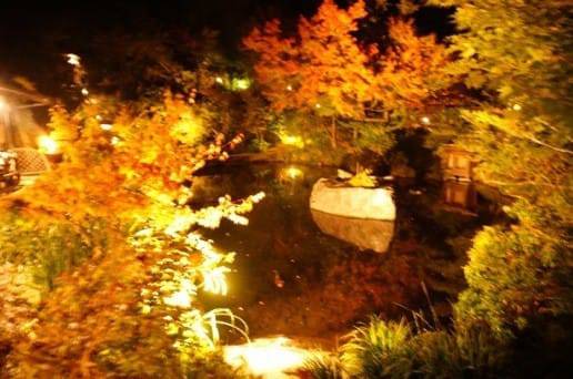 帆山亭の池の夜景