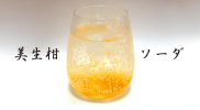 柚子よりうまいかも！美生柑（みしょうかん）のソーダ割りの作り方