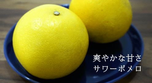 グレープフルーツみたいなのに甘い！九州名物のサワーポメロを知っていますか？