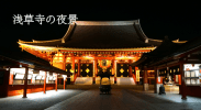 浅草寺で夜桜と夜景を楽しむ！夜の浅草は人が少なくて穴場でした