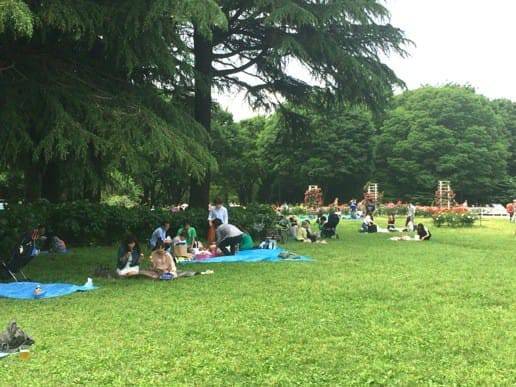 代々木公園でピクニック