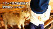 くじゅう自然動物園は絶対オススメ！動物好きが行きたくなる理由